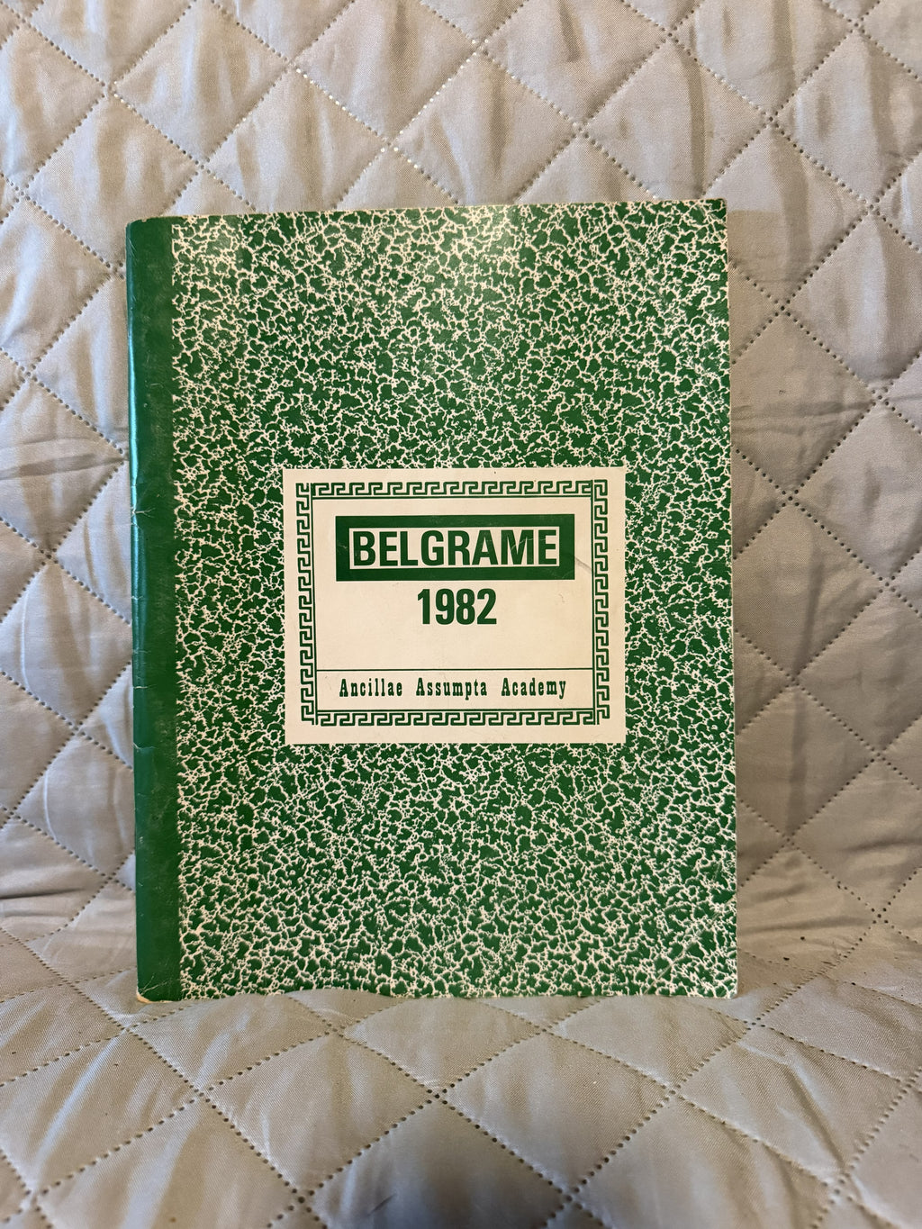 1982 Ancillae Assumpta Academy Yearbook - Belgrame '82