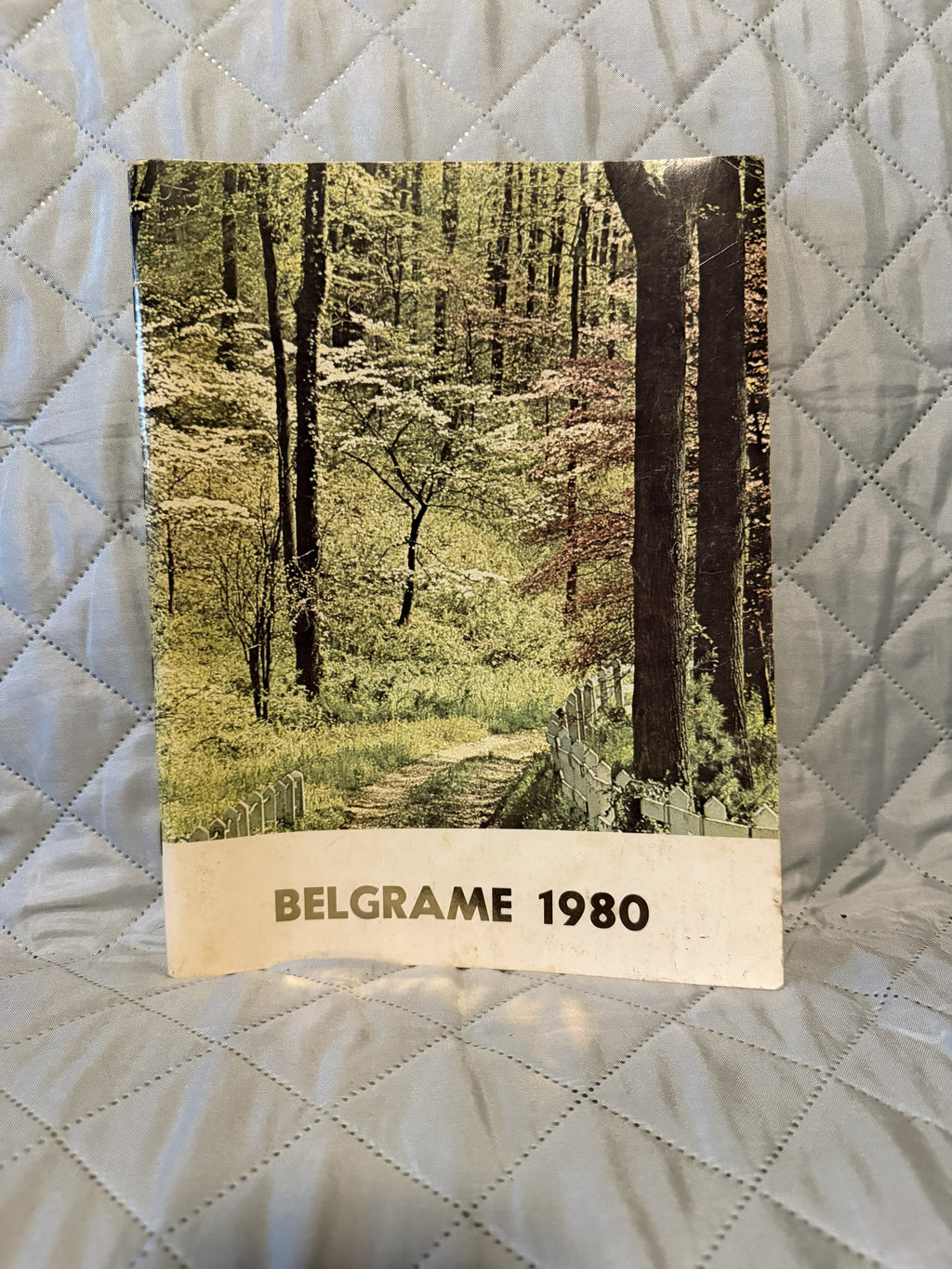1980 Ancillae Assumpta Academy Yearbook - Belgrame '80