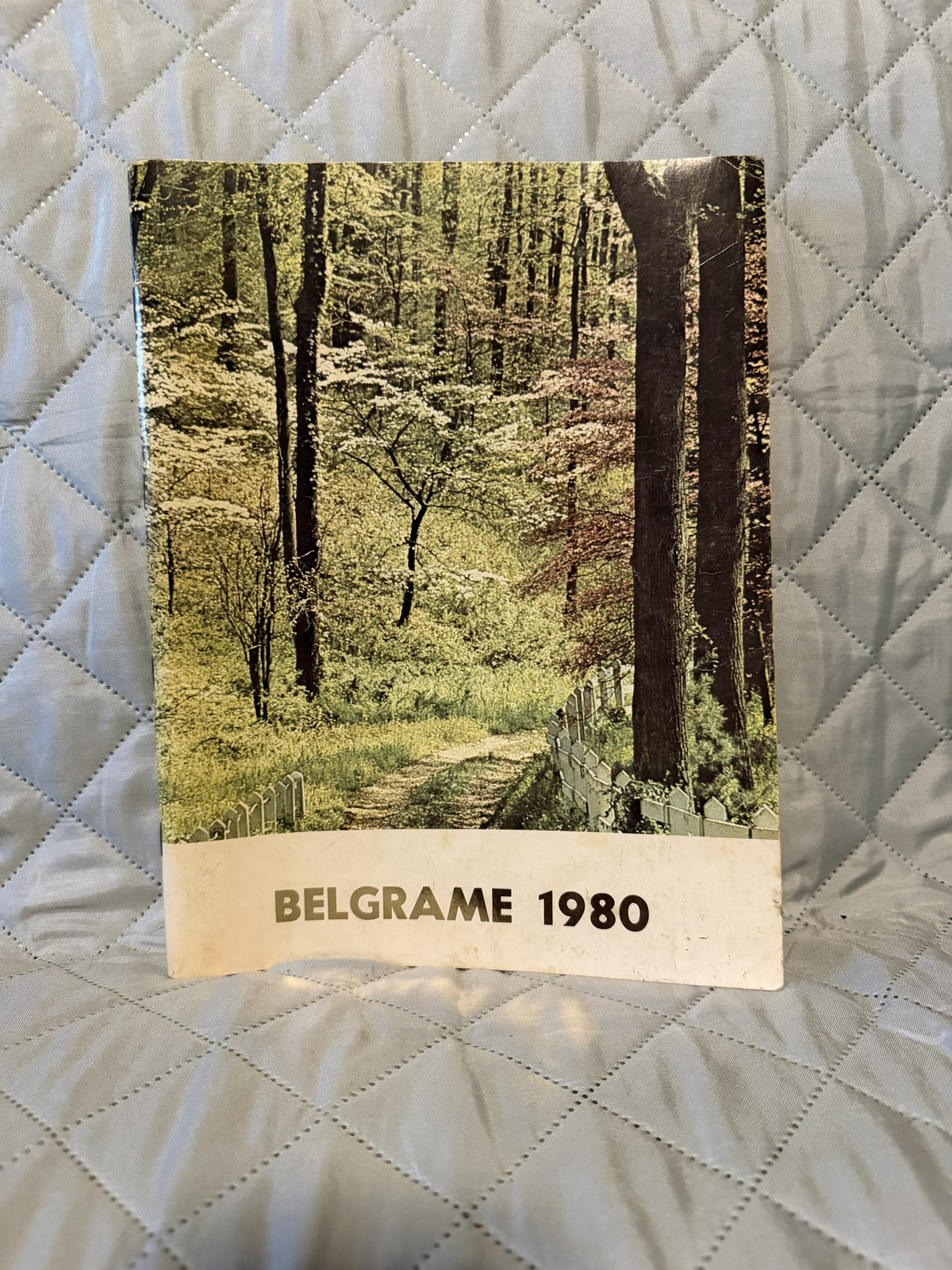 1980 Ancillae Assumpta Academy Yearbook - Belgrame '80