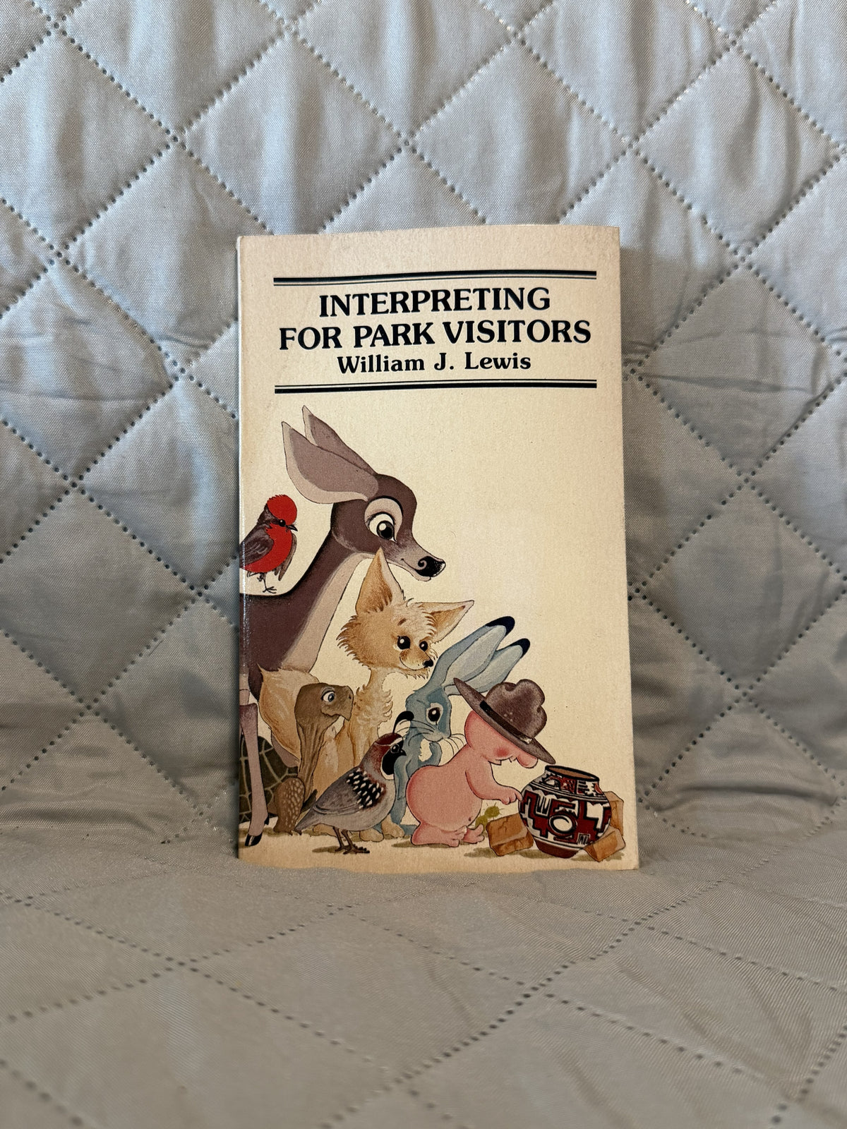1981 Interpreting for Park Visitors William J Lewis Paperback National Parks