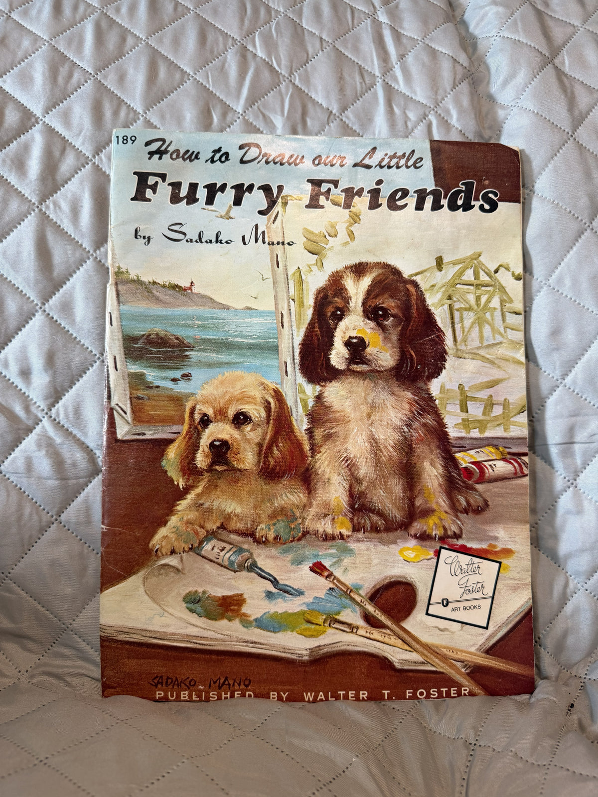 How to Draw Our Little Furry Friends Sadako Mano Walter T Foster Art Book #189