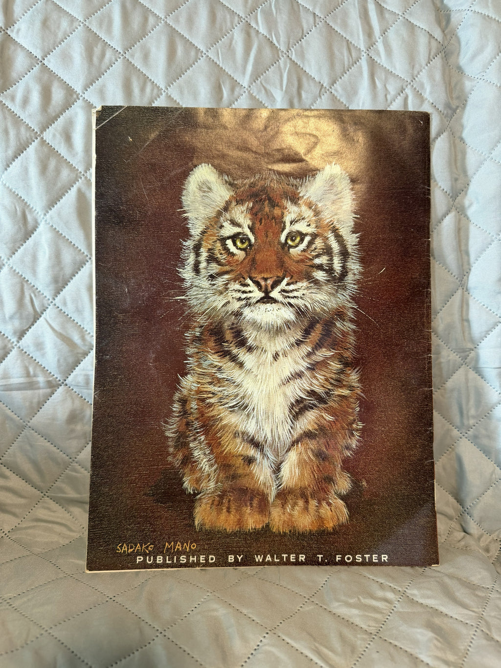 How to Draw Our Little Furry Friends Sadako Mano Walter T Foster Art Book #189