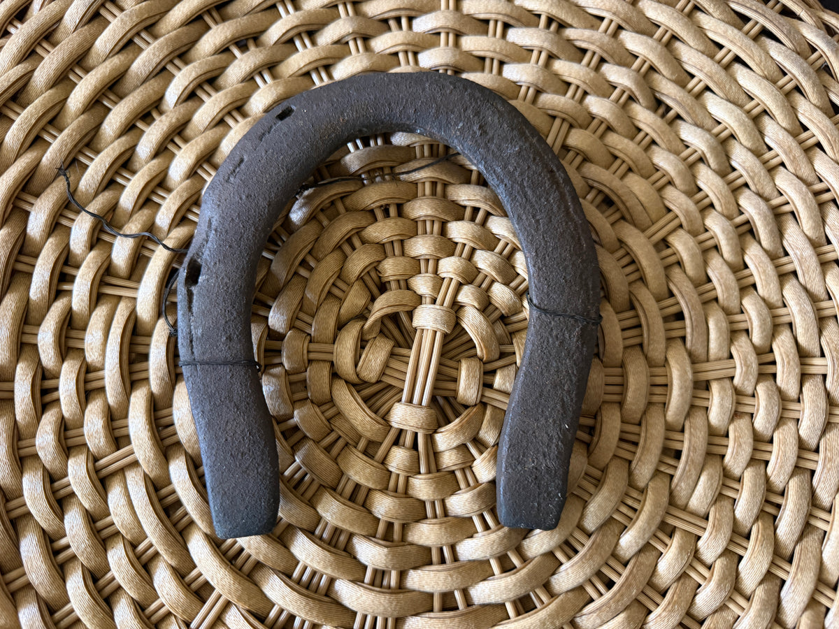 Rustic Weathered Cast Iron Horseshoe Good Luck Wall Decor